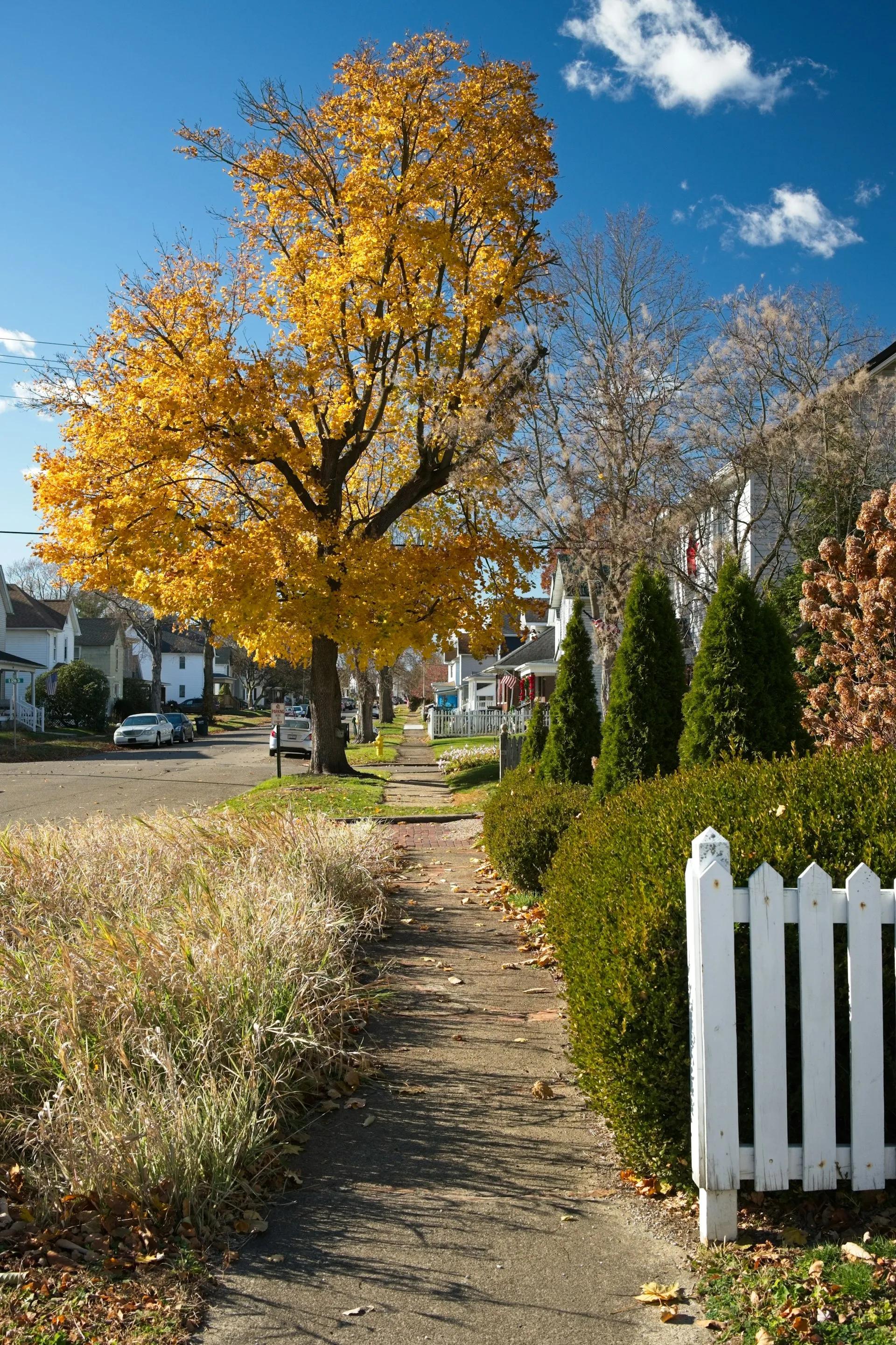 Beautiful suburban neighborhood in Northern Illinois